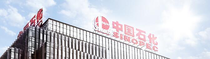 Sinopec Sales Co., Ltd. Shandong Petroleum Branch