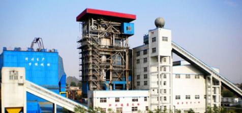 Shandong Xinsheng Industry and Trade Co., Ltd.